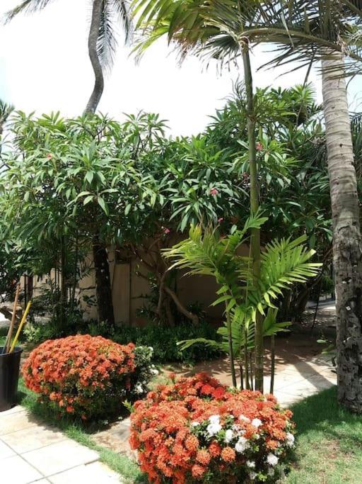 Eco Paradise Cumbuco 131 Екстер'єр фото